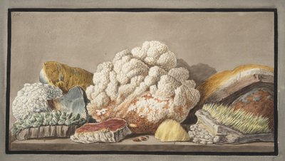 ウィリアムハミルトン卿（1730-1803）による「カンピフレグレイ：2つのシチリアの火山の観察」からのソルファテラの作品、プレート9、1776年発行 作： Pietro Fabris
